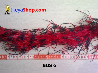 BOS 6  large2